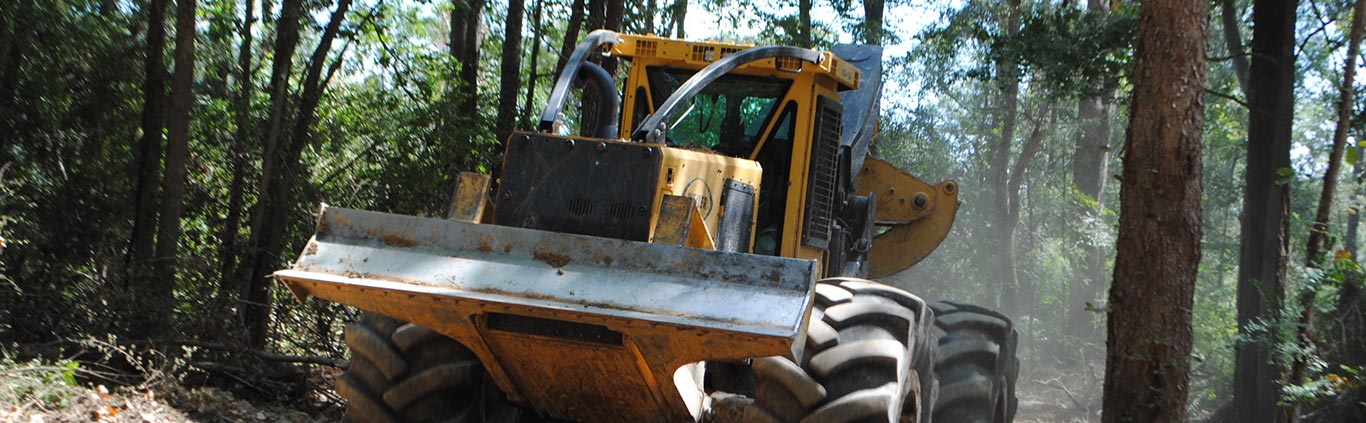 Pucket Forestry Machine